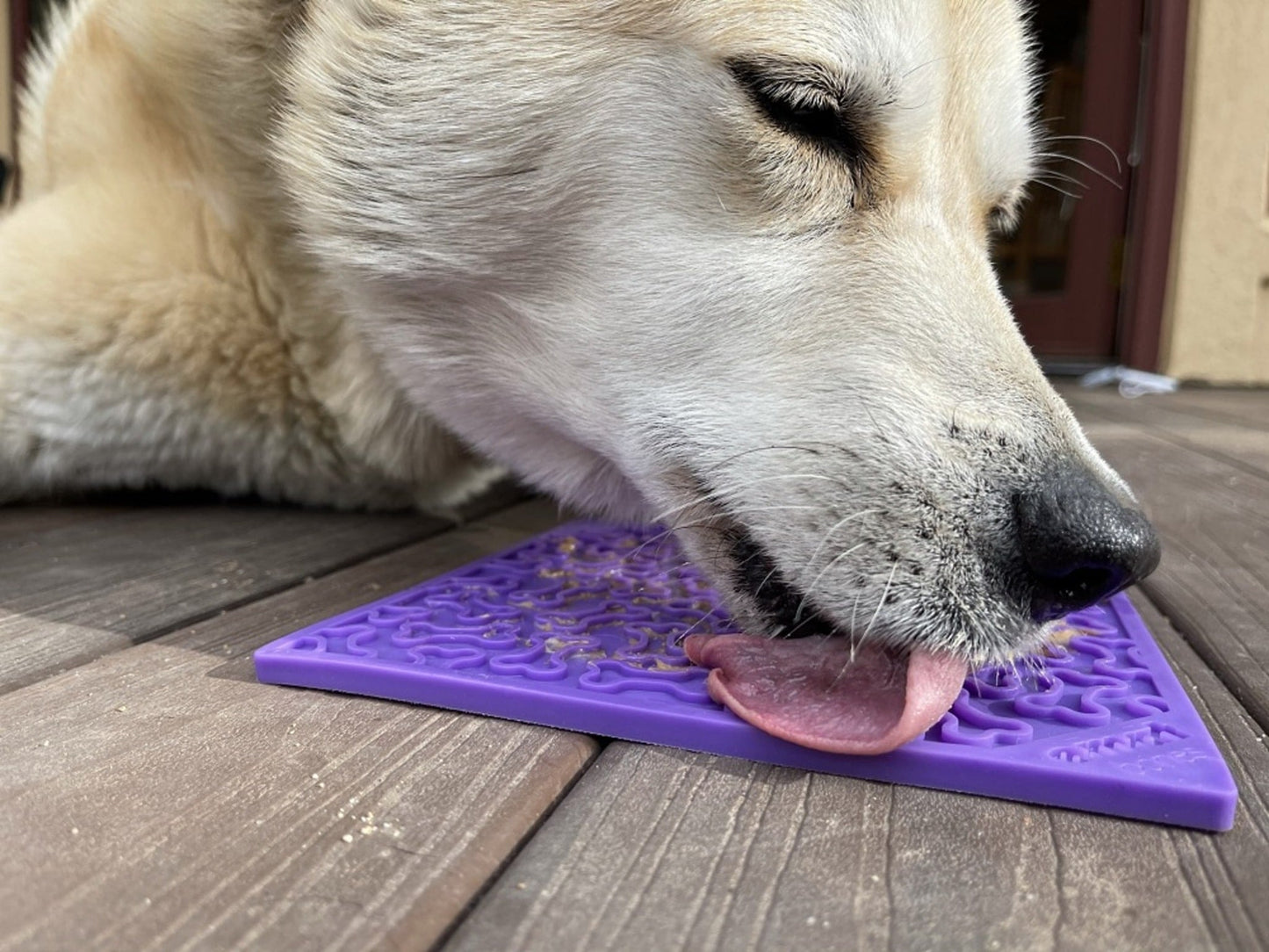 Purple Bones Dog Enrichment Lick Mat