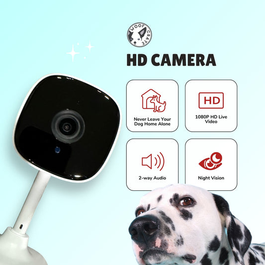Caméra domestique Full HD