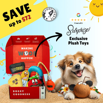 Surprise Box of Plush Dog Toys