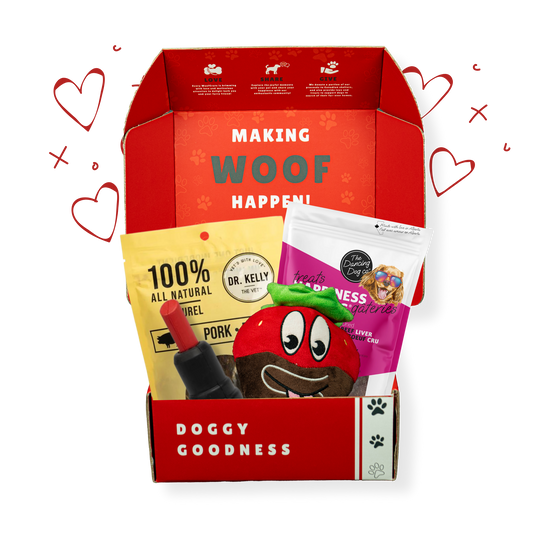 Valentines Themed Dog Box