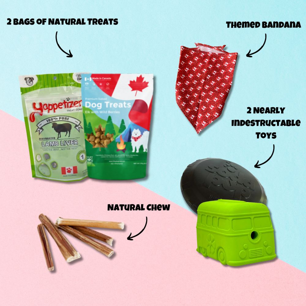 infographic of the contents of a woofcrate power chewing dog subscription box. It contains two bags of natural Canadian dog treats, two incredibly durable dog toys, a natural chew and a themed bandana.