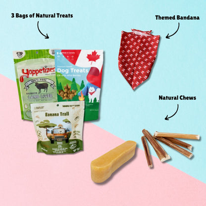 infographic of the contents of a woofcrate treat enthusiast dog subscription box. It contains three bags of natural Canadian dog treats, two premium chews and a themed bandana.